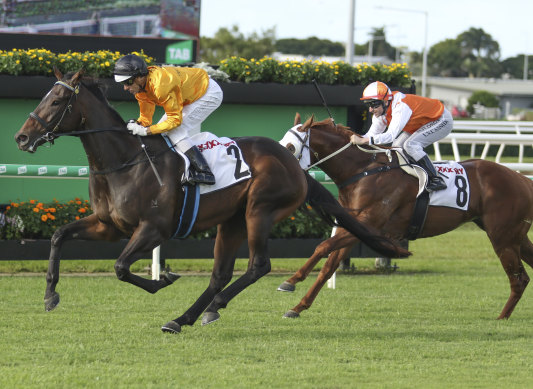 Flying Crazy wins at Eagle Farm last year.