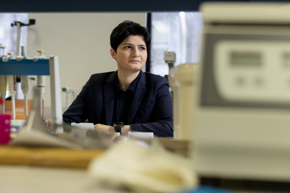 Noushin Nasiri’s scientific journey took her from northern Iran to Macquarie University in Sydney 