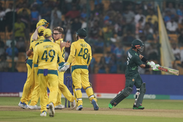 Adam Zampa celebrates another wicket.