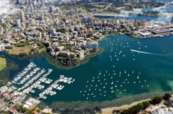 An impression provided by Colin Finn of what a rewilded Rushcutters Bay might look like with mangroves, oyster reefs and a naturalised canal.