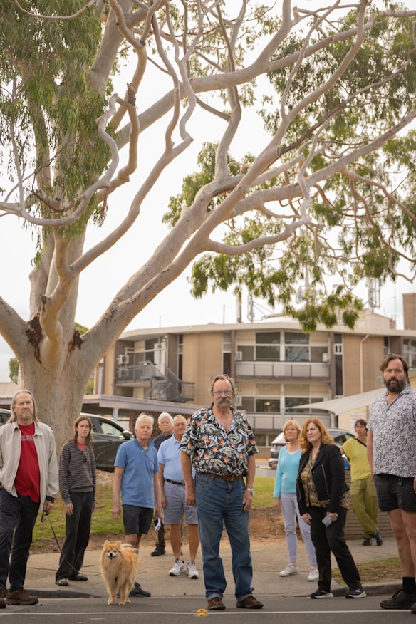 Sandringham Hospital gum tree removal plan angers bayside Melbourne ...