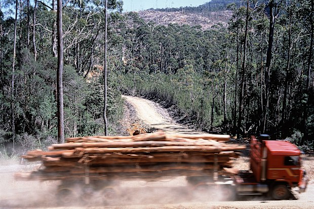 UniSuper buys former Gunns timber plantation in Tasmania