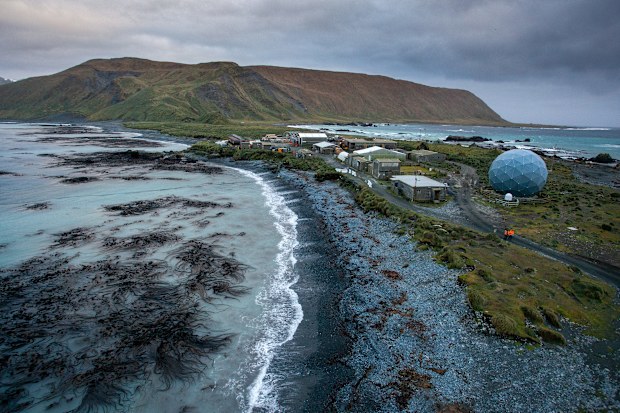 An aerial view of Macquarie island