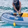 Whitsundays shark response on table as fisherman warns they're larger