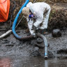 Heavy rain brings the stink back to blighted Stony Creek