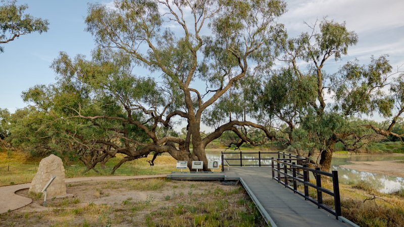 Famed Queensland station home to the ‘Dig Tre ...
