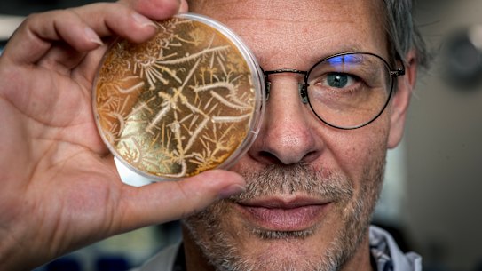 Professor Ian Paulsen is leading Australia's efforts to take control of life in every detail.