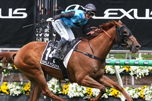 Jamie Melham rides #14 Half Yours to win race seven the Lexus Melbourne Cup during Melbourne Cup Day at Flemington Racecourse on November 04, 2025 in Melbourne, Australia.