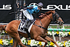 Jamie Melham wins the Melbourne Cup on Half Yours.