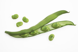 The secret lives of objects