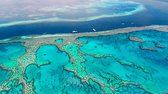 Senior members of the federal government are at odds over their support for state laws that require farmers to reduce water pollution for the Barrier Reef. 