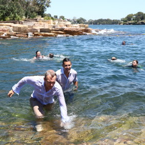 Stadtminister Rob Stokes und Mitglied von Sydney Alex Greenwich tauchen in Marrinawi Cove ein.