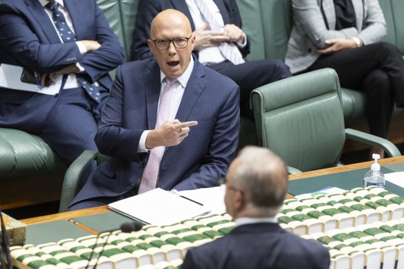 Opposition Leader Peter Dutton and Prime Minister Anthony Albanese during question time on Thursday.
