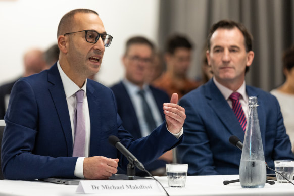 AFL chief medical officer Michael Makdissi, beside the league’s CEO Andrew Dillon, answering questions earlier this year at the Senate’s concussion inquiry.