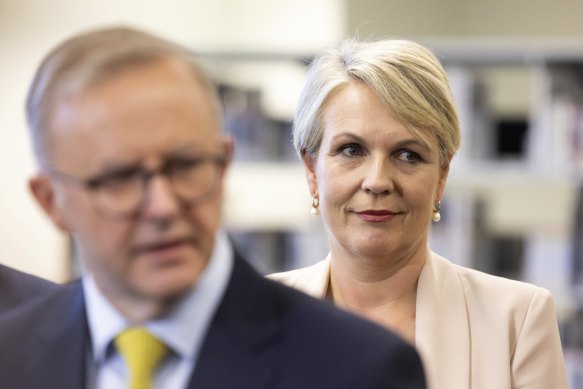 Federal Environment Minister Tanya Plibersek has her hands full delivering Labor’s ambitious reform agenda. 