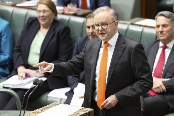 Anthony Albanese during question time.