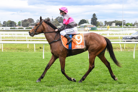 Sirileo Miss, ridden by Linda Meech, after winning the Vase at Caulfield earlier this month.