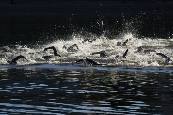 Swimmers compete during the men’s marathon swimming event in Tokyo on Thursday.