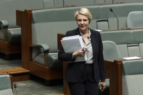 Environment Minister Tanya Plibersek has veto powers over major developments that come with serious environmental harms. 