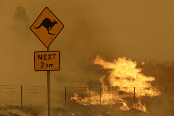 Grassfires are fast, hot and unpredictable.