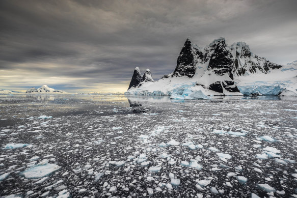 Lemaire Channel, Antarctica: spectacular from start to finish.