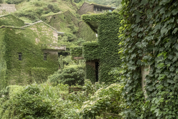 Vines wrap the buildings of Houtouwan Village which was abandoned in the 1990s. 