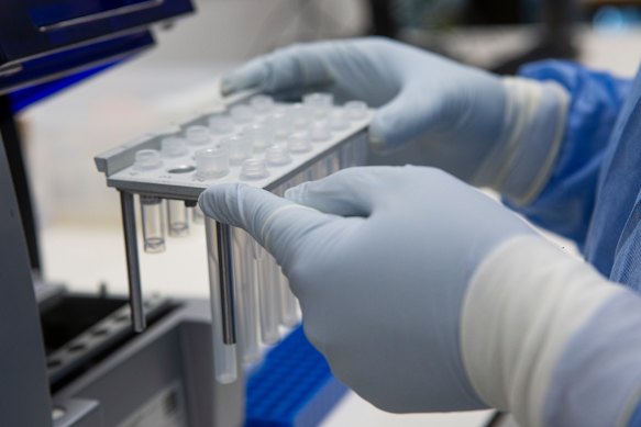 The head of Forensic Science Queensland has been given a show cause notice after contamination paused all testing.