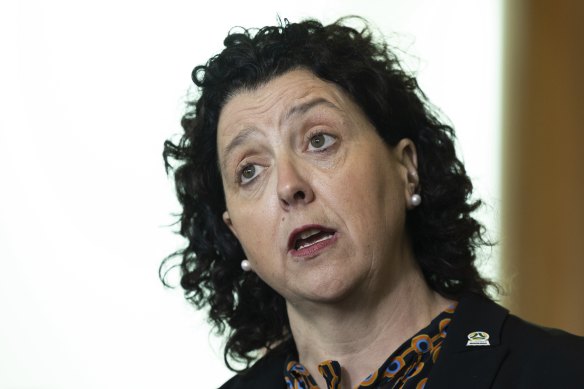 Monique Ryan said she had been shocked by the number of lobbyists she had seen in Parliament House since her election as the member for Kooyong in May last year.