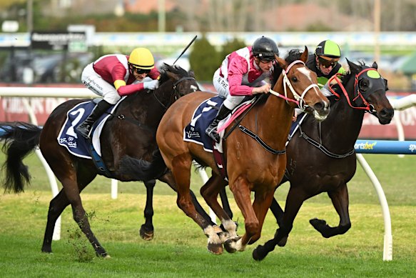 Cosmic Crusader (outside) wins at Caulfield in August and looks the one to beat on Saturday.