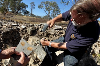 Dr Alex Ritchie, palaeontologist pictured at a quarry near Cowra, showing how there are still many fish fossils to be found in the area from the Devonian Period 380 million years ago, 2013.
