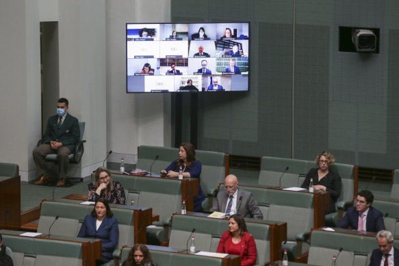 MPs appearing remotely via video conference during question time.