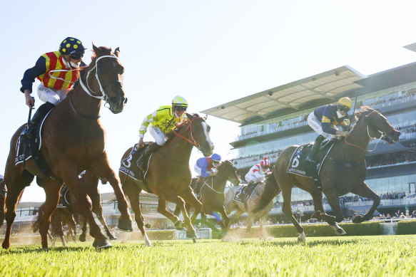 Masked Crusdaer (right) closes late but can’t run down Nature Strip.