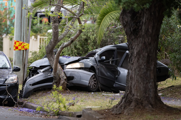 The car was split in two after crashing into a power pole and a tree.