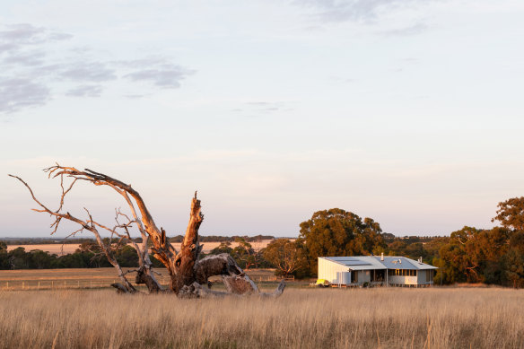 One of the winners of this year’s National Architecture Awards, Spring Creek Road Farmhouse, looks like a tin shed from a distance.