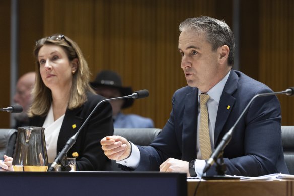 CBA boss Matt Comyn has labelled  Greens’ proposed tax on excessive profits an example of “insidious populism”.