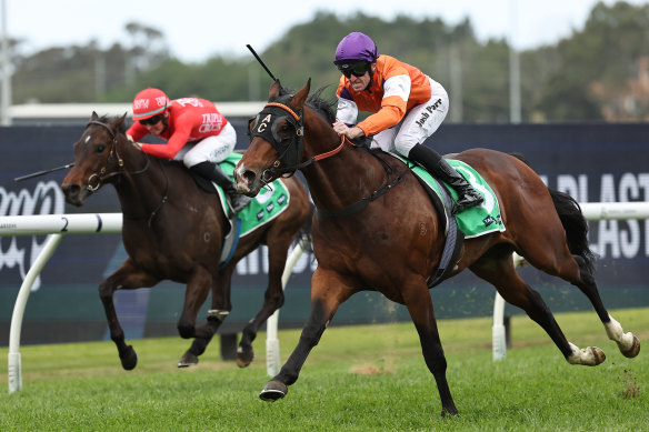 El Castello, ridden by Josh Parr, is unbeaten this preparation.