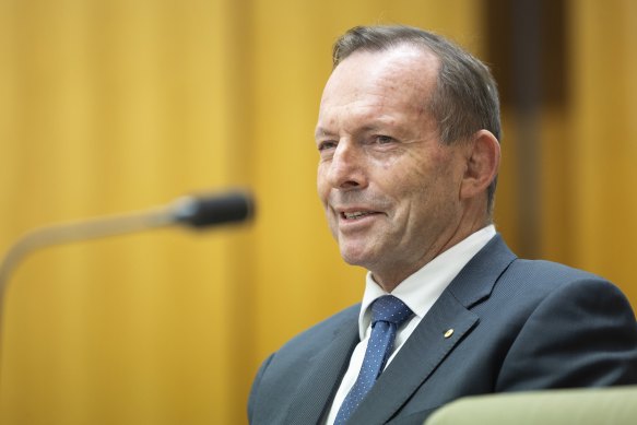 Former prime minister Tony Abbott giving evidence into a parliamentary hearing on the Voice.