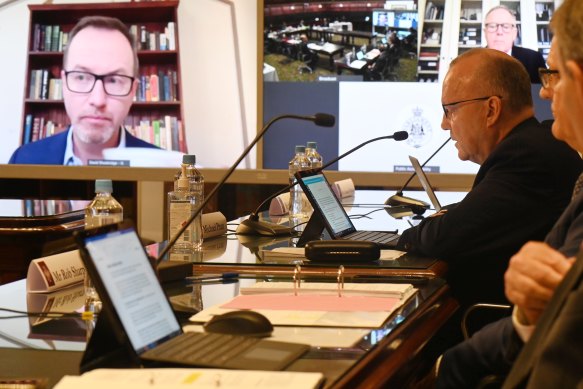 Greens MP David Shoebridge, left, and former Treasury secretary Mike Pratt during a virtual inquiry last year.