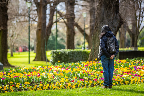 Melburnians walk past the daffodils at Fitzroy Gardens during their two hours of exercise per day.