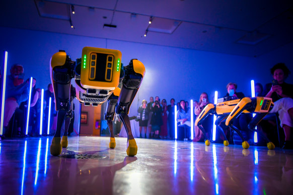 Robotic dogs Basia and Bonnie will spend the duration of NGV’s Triennial creating a new artwork. 