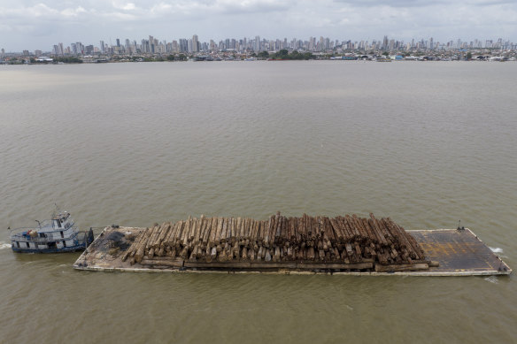 A barge transports logs cut from the Amazon rainforest in Guama river in Belem, northern state of Para, Brazil, last weekend.