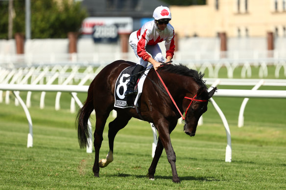 Excelladus returns to scale after his controversial win at Randwick last start.