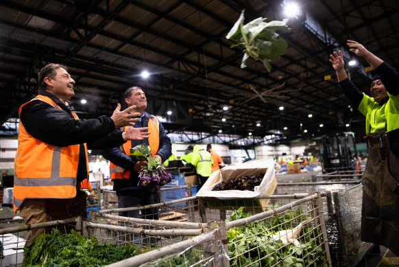 Growers Sam and Steve Grima with their produce at Sydney Market.