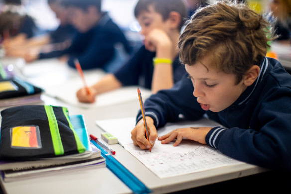 The Victorian government needs to offer more explicit guidance to schools on literacy or risk declining results, academics say.