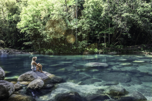 Swim with turtles or enjoy a waterside picnic at Mossman Gorge.