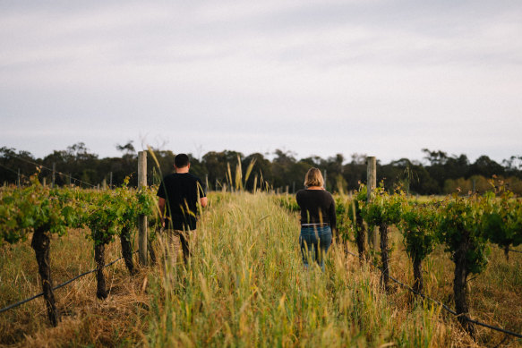 Blind Corner Vineyard.