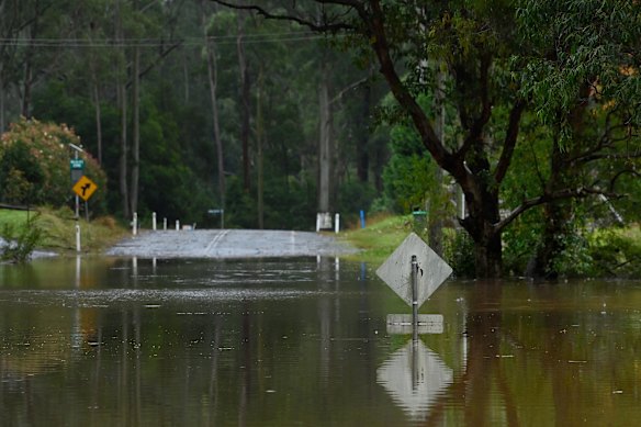 A section of The Bucketts Way near Taree.