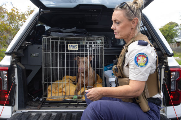 Neate sits with Bella on the RSPCA truck in Melbourne’s north.