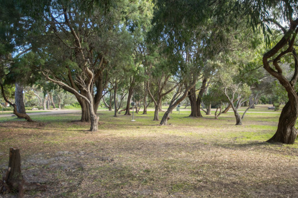 There had been hopes that the  Rosebud camping ground - which has been closed for much of the year - would open up in time for Christmas.