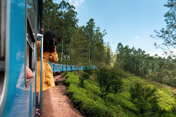 An Inspiring Vacations train journey through a Sri Lankan tea plantation.